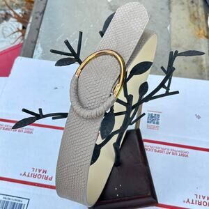 Retro Gray & Gold Belt